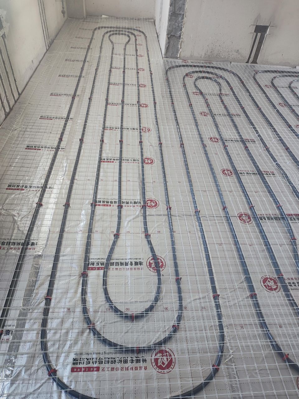 1722587929325915.jpg 1722587929325915.jpg