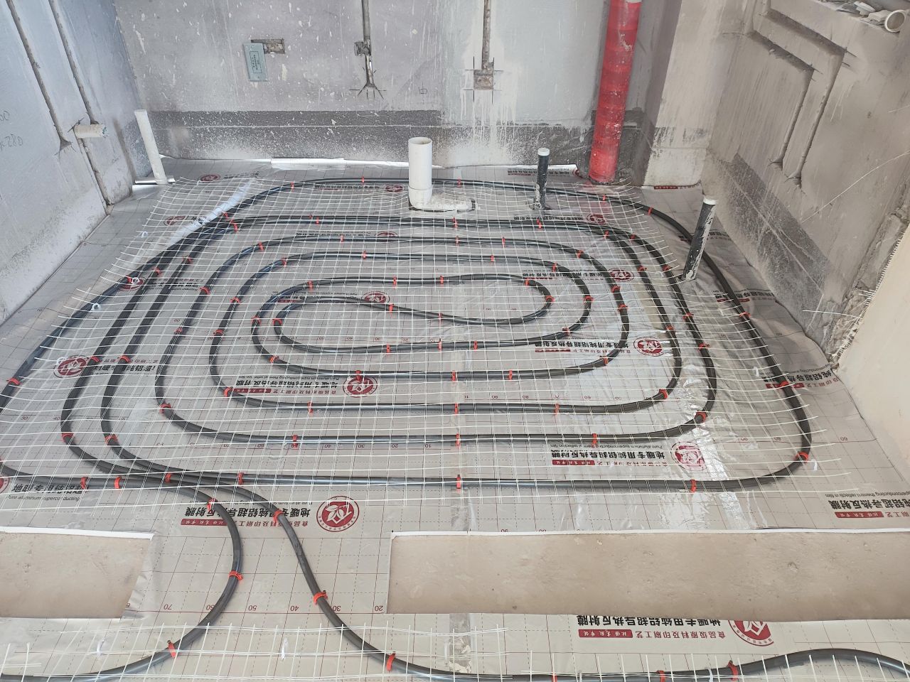 1722587934607009.jpg 1722587934607009.jpg