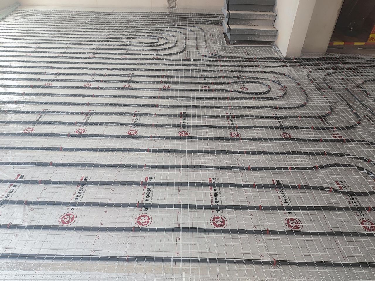 1740539672462555.jpg 1740539672462555.jpg